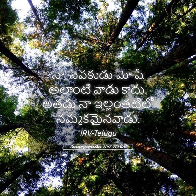 Picture 05 - సంఖ్యాకాండం 12:7 TELIRV - నా సేవకుడు మోషే - Bible Verse Picture