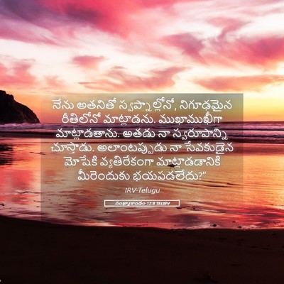 Picture 05 - సంఖ్యాకాండం 12:8 TELIRV - నేను అతనితో - Bible Verse Picture