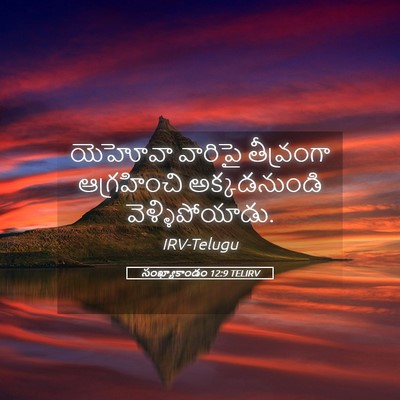 Picture 05 - సంఖ్యాకాండం 12:9 TELIRV - యెహోవా వారిపై - Bible Verse Picture