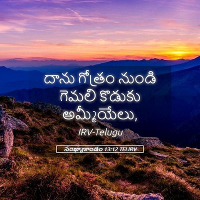 Picture 05 - సంఖ్యాకాండం 13:12 TELIRV - దాను గోత్రం నుండి - Bible Verse Picture
