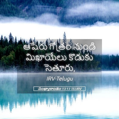 Picture 05 - సంఖ్యాకాండం 13:13 TELIRV - ఆషేరు గోత్రం - Bible Verse Picture