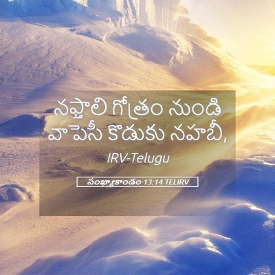 Picture 05 - సంఖ్యాకాండం 13:14 TELIRV - నఫ్తాలి గోత్రం - Bible Verse Picture