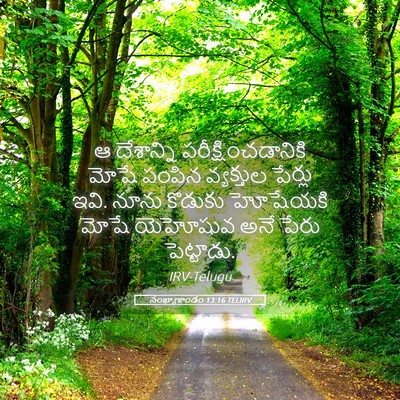 Picture 05 - సంఖ్యాకాండం 13:16 TELIRV - ఆ దేశాన్ని - Bible Verse Picture