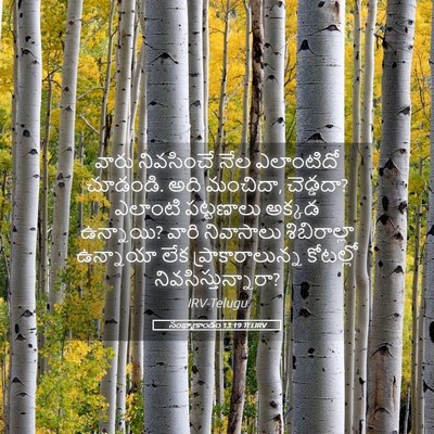 Picture 05 - సంఖ్యాకాండం 13:19 TELIRV - వారు నివసించే నేల - Bible Verse Picture