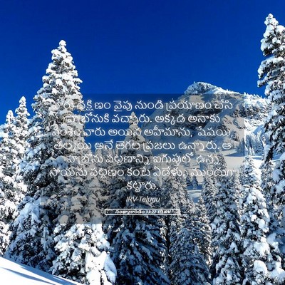 Picture 05 - సంఖ్యాకాండం 13:22 TELIRV - వారు దక్షిణం వైపు - Bible Verse Picture