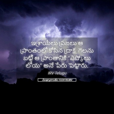 Picture 05 - సంఖ్యాకాండం 13:24 TELIRV - ఇశ్రాయేలు ప్రజలు - Bible Verse Picture