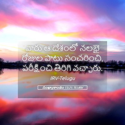 Picture 05 - సంఖ్యాకాండం 13:25 TELIRV - వారు ఆ దేశంలో నలభై - Bible Verse Picture