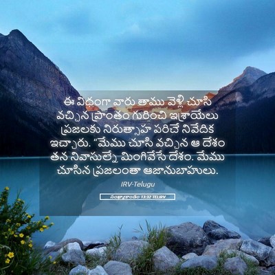 Picture 05 - సంఖ్యాకాండం 13:32 TELIRV - ఈ విధంగా వారు తాము - Bible Verse Picture