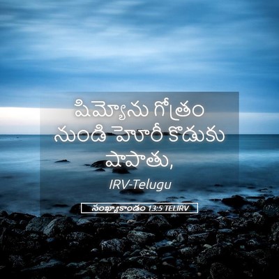 Picture 05 - సంఖ్యాకాండం 13:5 TELIRV - షిమ్యోను గోత్రం - Bible Verse Picture