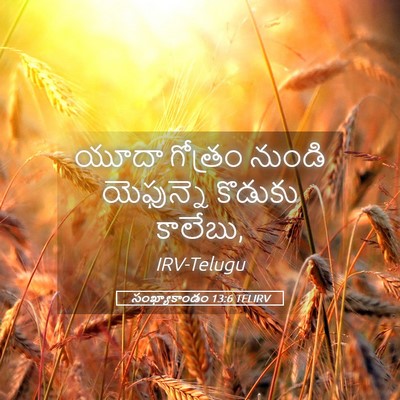 Picture 05 - సంఖ్యాకాండం 13:6 TELIRV - యూదా గోత్రం నుండి - Bible Verse Picture