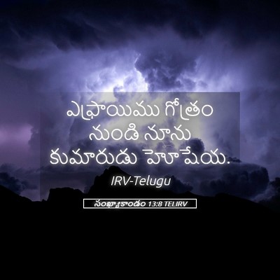 Picture 05 - సంఖ్యాకాండం 13:8 TELIRV - ఎఫ్రాయిము గోత్రం - Bible Verse Picture