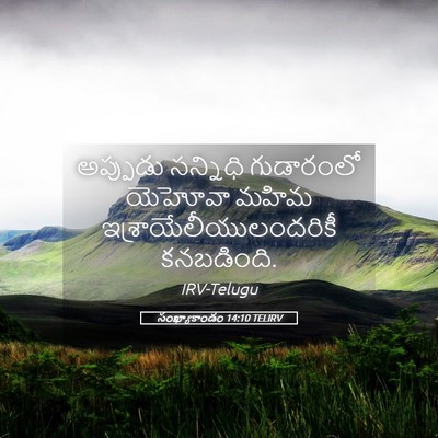 Picture 05 - సంఖ్యాకాండం 14:10 TELIRV - అప్పుడు సన్నిధి - Bible Verse Picture
