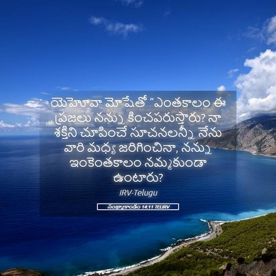 Picture 05 - సంఖ్యాకాండం 14:11 TELIRV - యెహోవా మోషేతో - Bible Verse Picture