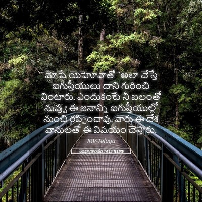 Picture 05 - సంఖ్యాకాండం 14:13 TELIRV - మోషే యెహోవాతో - Bible Verse Picture