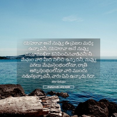 Picture 05 - సంఖ్యాకాండం 14:14 TELIRV - యెహోవా అనే నువ్వు - Bible Verse Picture