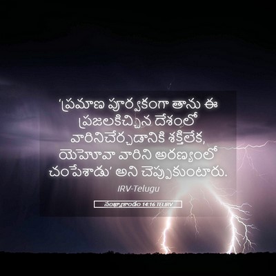 Picture 05 - సంఖ్యాకాండం 14:16 TELIRV - ‘ప్రమాణ పూర్వకంగా - Bible Verse Picture