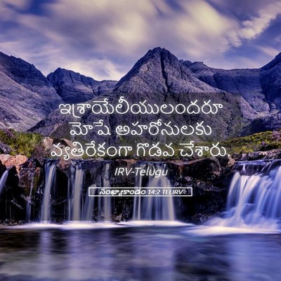 Picture 05 - సంఖ్యాకాండం 14:2 TELIRV - ఇశ్రాయేలీయులందరూ - Bible Verse Picture