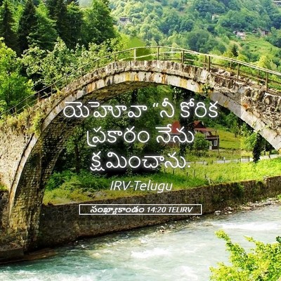 Picture 05 - సంఖ్యాకాండం 14:20 TELIRV - యెహోవా “నీ కోరిక - Bible Verse Picture