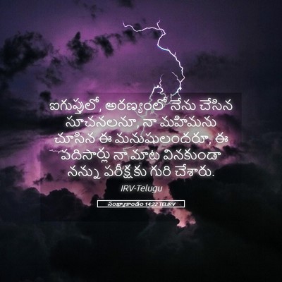 Picture 05 - సంఖ్యాకాండం 14:22 TELIRV - ఐగుప్తులో, - Bible Verse Picture