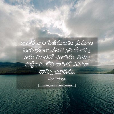 Picture 05 - సంఖ్యాకాండం 14:23 TELIRV - కాబట్టి వారి - Bible Verse Picture