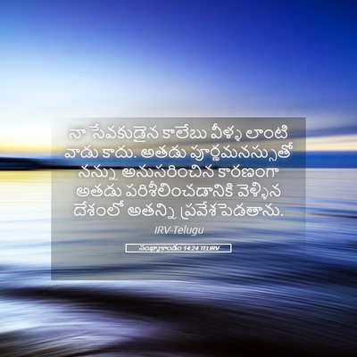 Picture 05 - సంఖ్యాకాండం 14:24 TELIRV - నా సేవకుడైన - Bible Verse Picture