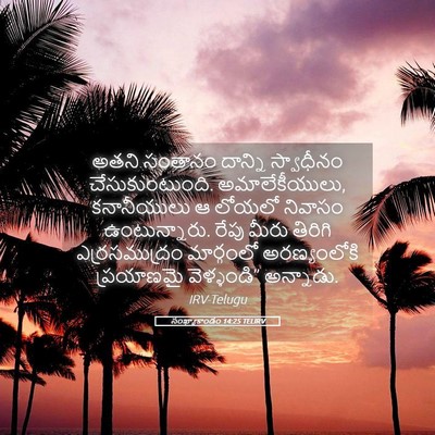 Picture 05 - సంఖ్యాకాండం 14:25 TELIRV - అతని సంతానం - Bible Verse Picture