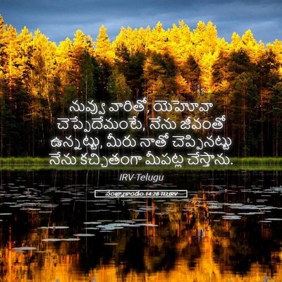 Picture 05 - సంఖ్యాకాండం 14:28 TELIRV - నువ్వు వారితో, - Bible Verse Picture