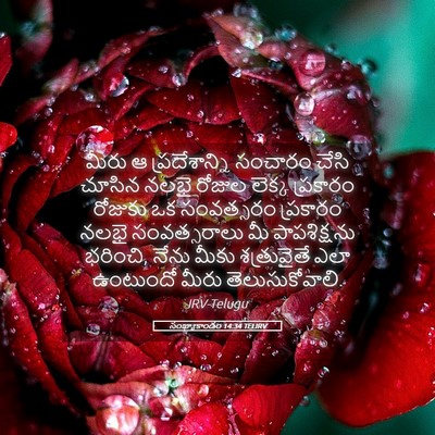 Picture 05 - సంఖ్యాకాండం 14:34 TELIRV - మీరు ఆ - Bible Verse Picture