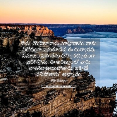 Picture 05 - సంఖ్యాకాండం 14:35 TELIRV - నేను, యెహోవాను - Bible Verse Picture