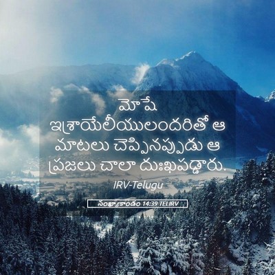 Picture 05 - సంఖ్యాకాండం 14:39 TELIRV - మోషే - Bible Verse Picture