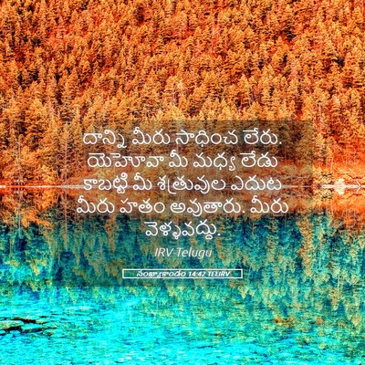 Picture 05 - సంఖ్యాకాండం 14:42 TELIRV - దాన్ని మీరు - Bible Verse Picture