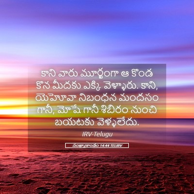 Picture 05 - సంఖ్యాకాండం 14:44 TELIRV - కాని వారు - Bible Verse Picture