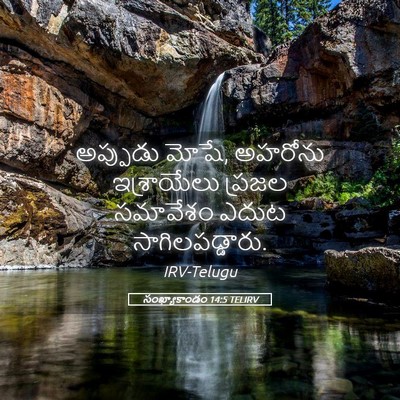Picture 05 - సంఖ్యాకాండం 14:5 TELIRV - అప్పుడు మోషే, - Bible Verse Picture
