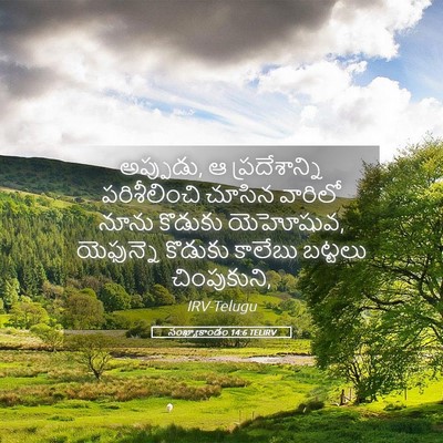 Picture 05 - సంఖ్యాకాండం 14:6 TELIRV - అప్పుడు, ఆ - Bible Verse Picture