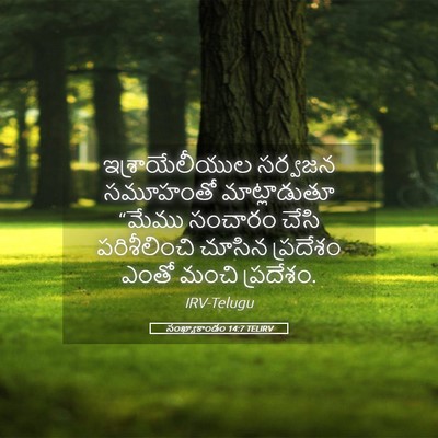 Picture 05 - సంఖ్యాకాండం 14:7 TELIRV - ఇశ్రాయేలీయుల - Bible Verse Picture