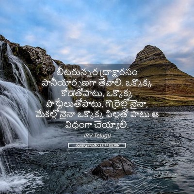 Picture 05 - సంఖ్యాకాండం 15:11 TELIRV - లీటరున్నర - Bible Verse Picture