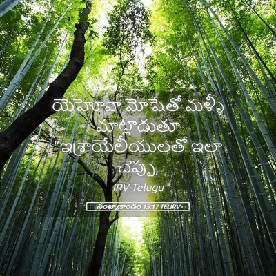 Picture 05 - సంఖ్యాకాండం 15:17 TELIRV - యెహోవా మోషేతో - Bible Verse Picture