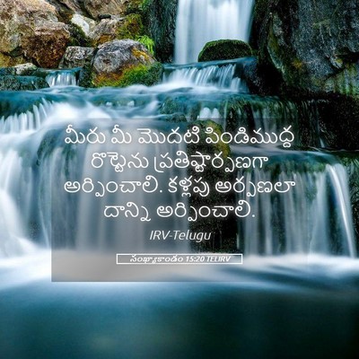 Picture 05 - సంఖ్యాకాండం 15:20 TELIRV - మీరు మీ మొదటి - Bible Verse Picture