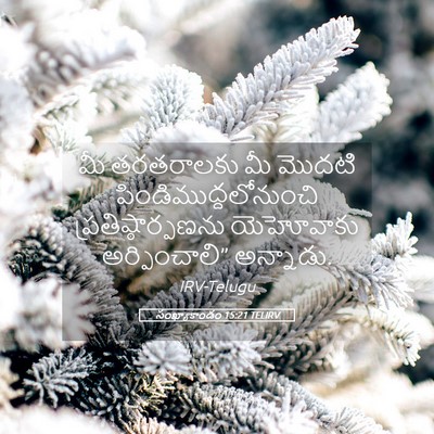 Picture 05 - సంఖ్యాకాండం 15:21 TELIRV - మీ తరతరాలకు మీ - Bible Verse Picture