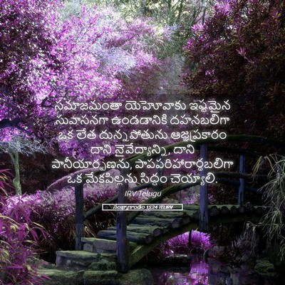 Picture 05 - సంఖ్యాకాండం 15:24 TELIRV - సమాజమంతా యెహోవాకు - Bible Verse Picture