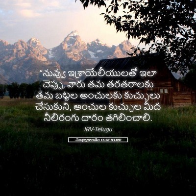 Picture 05 - సంఖ్యాకాండం 15:38 TELIRV - “నువ్వు - Bible Verse Picture