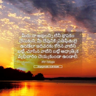 Picture 05 - సంఖ్యాకాండం 15:39 TELIRV - మీరు నా - Bible Verse Picture