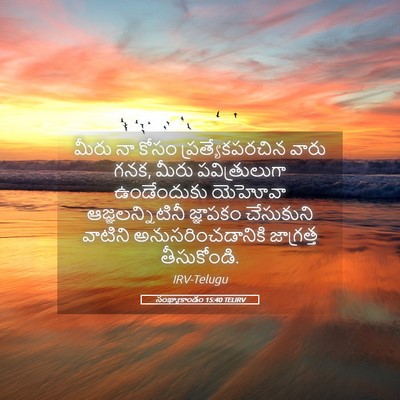 Picture 05 - సంఖ్యాకాండం 15:40 TELIRV - మీరు నా కోసం - Bible Verse Picture