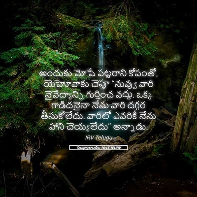 Picture 05 - సంఖ్యాకాండం 16:15 TELIRV - అందుకు మోషే - Bible Verse Picture