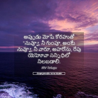 Picture 05 - సంఖ్యాకాండం 16:16 TELIRV - అప్పుడు మోషే - Bible Verse Picture