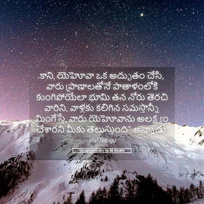 Picture 05 - సంఖ్యాకాండం 16:30 TELIRV - కాని, యెహోవా ఒక - Bible Verse Picture