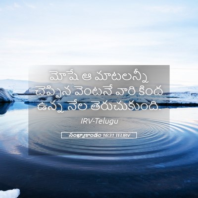 Picture 05 - సంఖ్యాకాండం 16:31 TELIRV - మోషే ఆ మాటలన్నీ - Bible Verse Picture