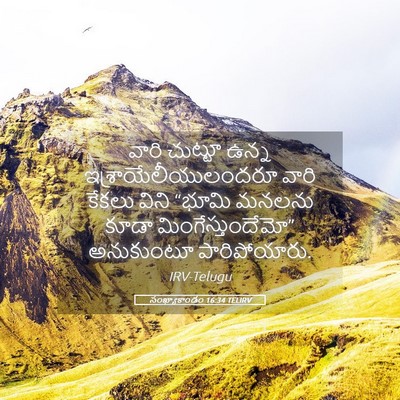 Picture 05 - సంఖ్యాకాండం 16:34 TELIRV - వారి చుట్టూ ఉన్న - Bible Verse Picture