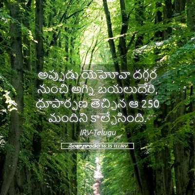 Picture 05 - సంఖ్యాకాండం 16:35 TELIRV - అప్పుడు యెహోవా - Bible Verse Picture