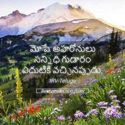 Picture 05 - సంఖ్యాకాండం 16:43 TELIRV - మోషే అహరోనులు - Bible Verse Picture